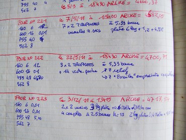 Frédéric Morin et Salomé à Saillans (26) : les courbes de cuisson de pâte-de-verre de Frédéric et Salomé, du moins pour le parties importantes de la montée, du fluage et du recuit