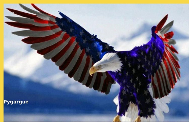 Milwaukee - Milwaukee Art Museum par Santiago Calatrava - 2001 : le Pygargue aux couleurs du drapeau des USA