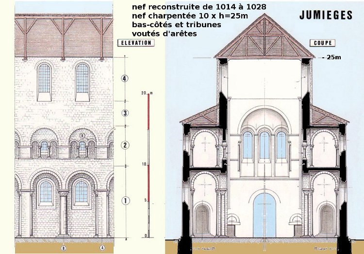 abbatiale Notre-Dame de Jumièges (76) élévation intérieure et section de la nef charpentée